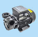 Water tank circulating pump LDPB2H-40-TP