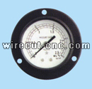 Pressure Gauge